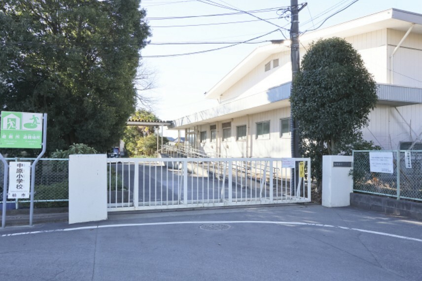 小学校 現地から670m～730m。　柏市立中原小学校　『新しい時代を担う,知性と徳性を備えた,人間性豊かで自立する子どもの育成』を学校教育目標に掲げています。