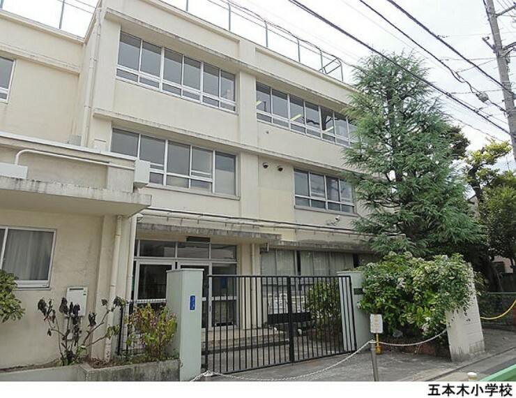 小学校 五本木小学校