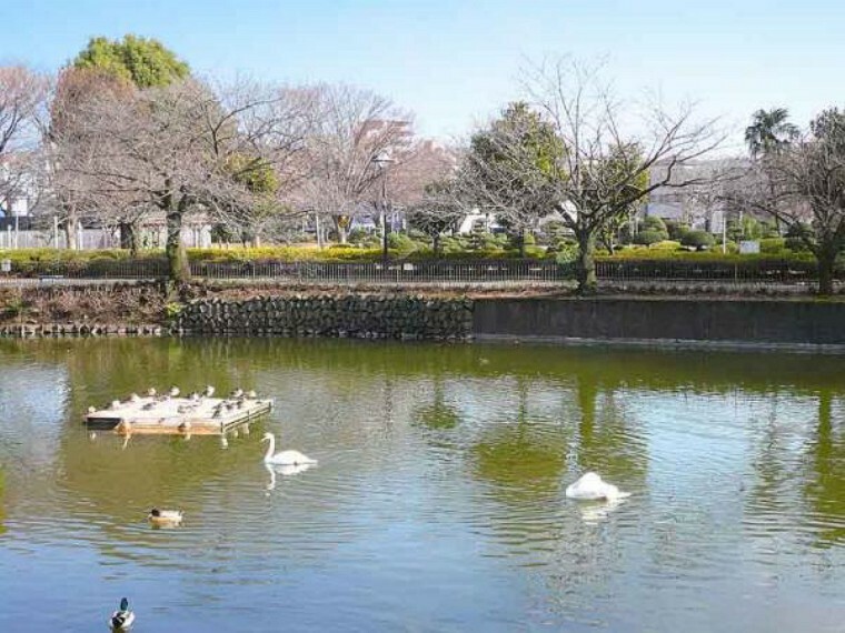 高校・高専 鹿沼公園