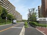 現況写真 敷地北側の前面道路