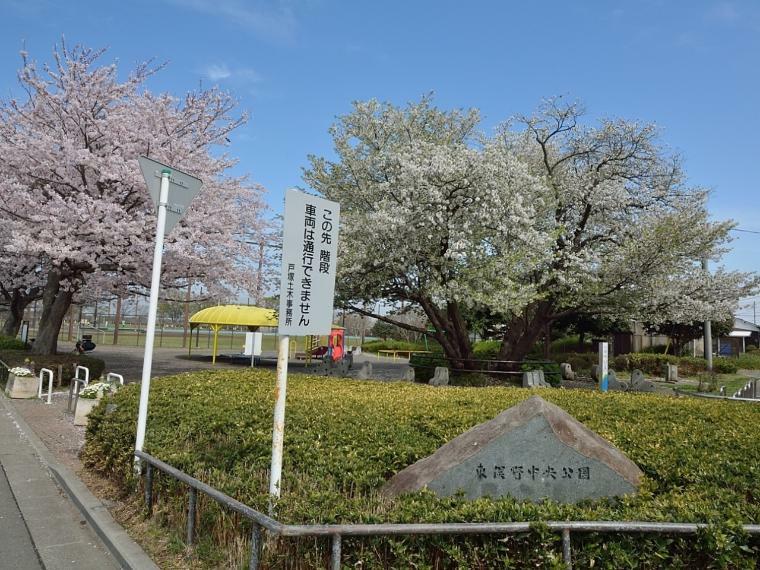 公園 東俣野中央公園（「ジャックと豆の木」をイメージして作られた公園。野球場やテニスコートもありますので大人も楽しめます。）