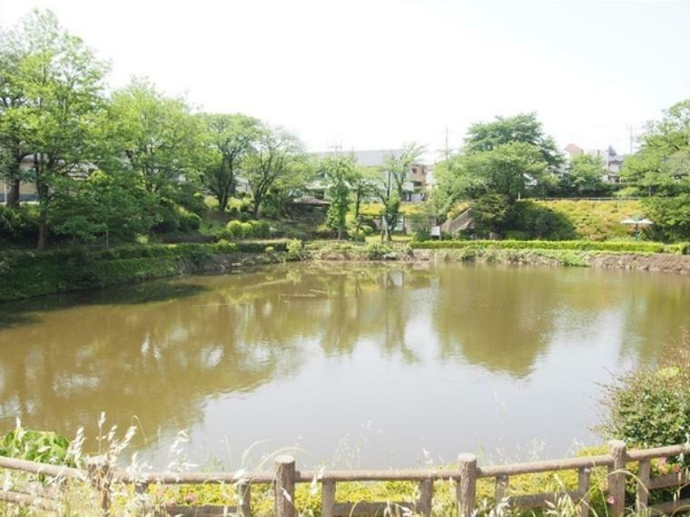 公園 八津池公園 【八津池公園】犬の同伴可　市の景観50選に選定