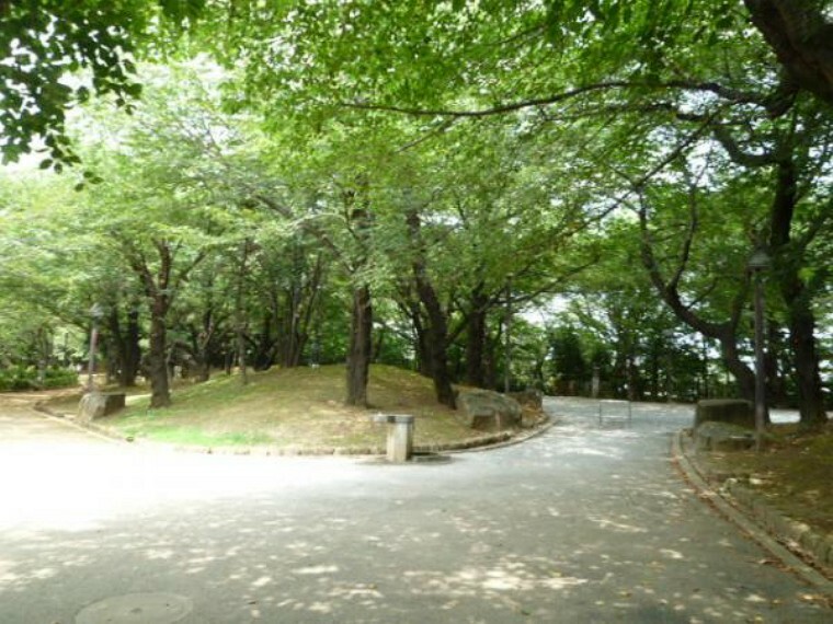 公園 飛鳥山公園　徒歩8分