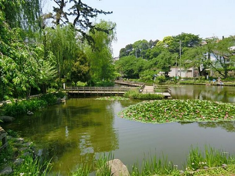 公園 白幡池公園