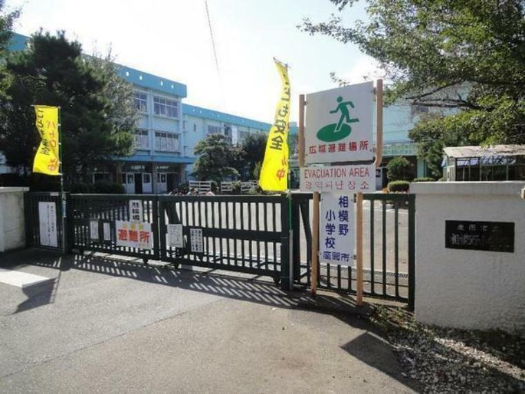 小学校 座間市立相模野小学校