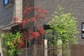 現況外観写真 【季節の潤いをもたらす木々たち】  シマトネリコ・シラカシ・ソヨゴなど緑鮮やかな常緑樹はもちろん、紅葉など季節の移ろいを趣のある色彩で心を和ませてくれる落葉樹の植栽も選んでいます。