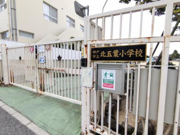 小学校 【周辺環境】神戸市立北五葉小学校まで約800m、徒歩約10分です。