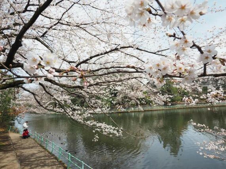 公園 武蔵関公園まで約900m