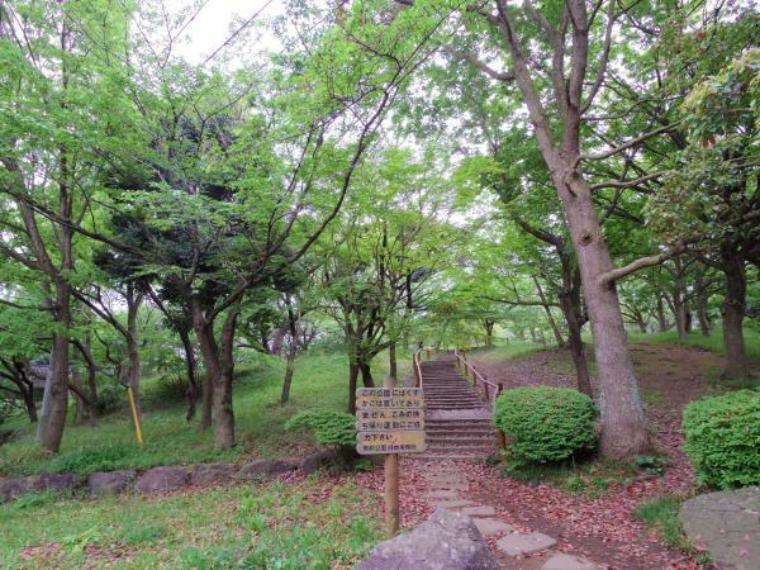 公園 舞岡公園（ウォーキングやジョギング、ピクニックにもお勧めの自然豊かな公園。敷地面積は東京ドーム6個分。）