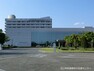 病院 【総合病院】国立病院機構東京医療センターまで478m