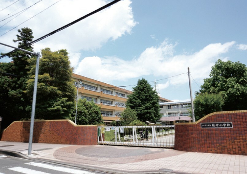 小学校 植竹小学校まで900m