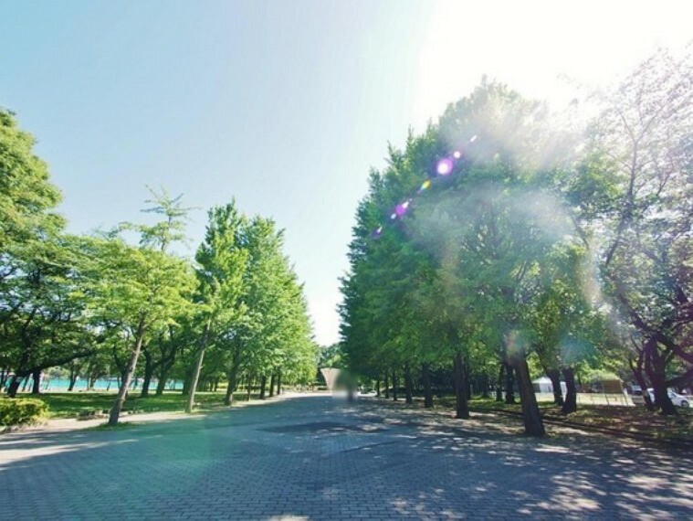 公園 赤塚公園まで約190m