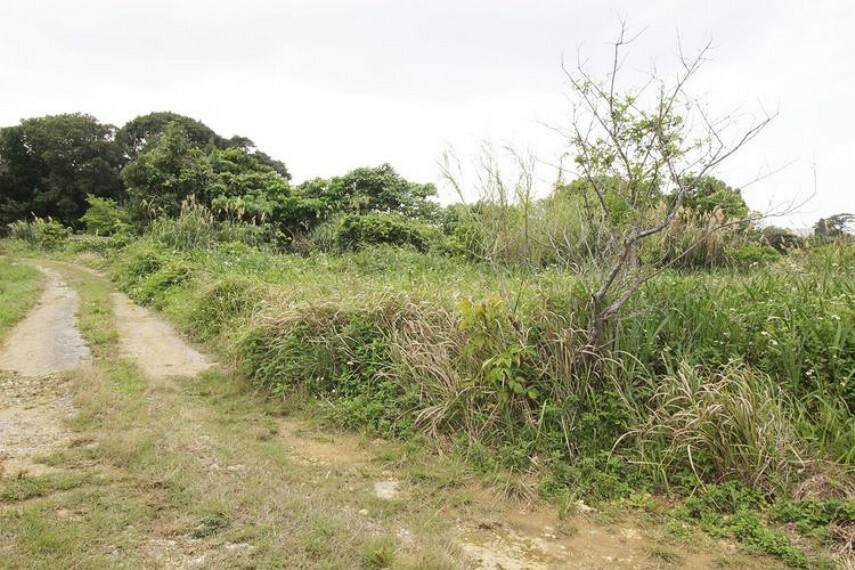 現況写真 前面道路含む現地写真