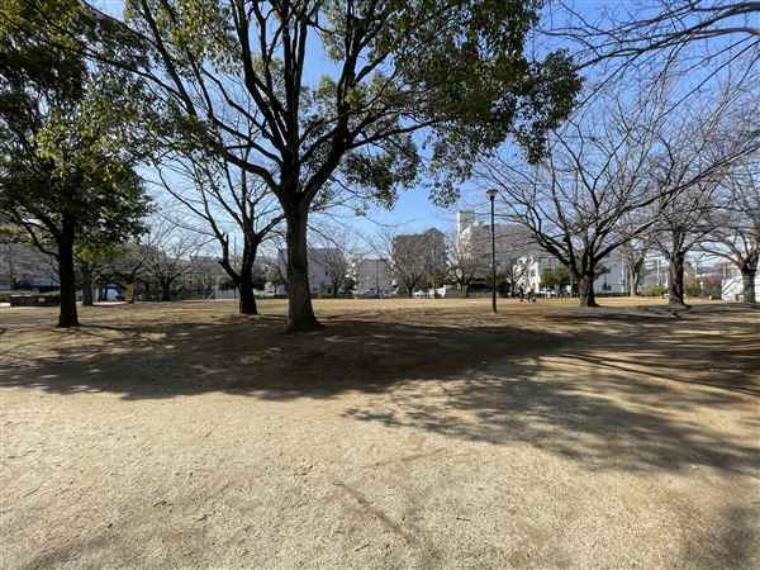 公園 広々とした広場のある緑豊かな公園です遊具がないので休日にレジャーシートを広げてピクニックを楽しむこともできます