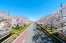 周辺の街並み 大学通り 桜並木