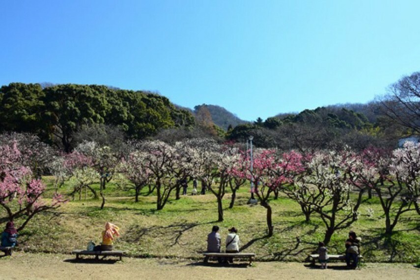 公園 枚岡公園