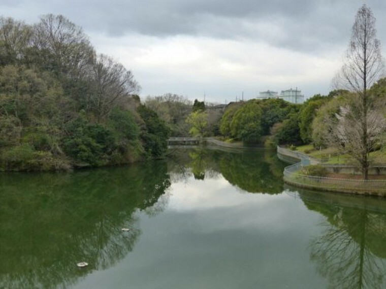 公園 【公園】明治池公園まで1093m