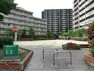 公園 横十間川近くの横川コミュニティ会館に隣接するところに、1999年に整備された区立の公園です。
