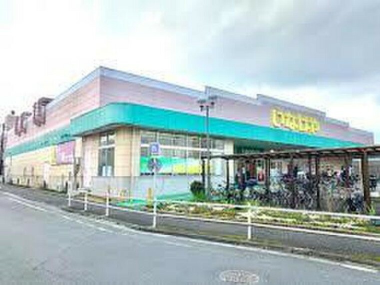 スーパー いなげや練馬上石神井南店まで約300m