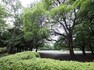 公園 夏の雲公園　まで約1100m