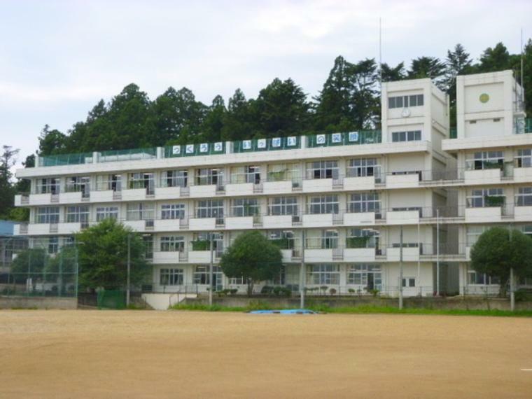 仙台市立第一中学校　850m（徒歩11分）
