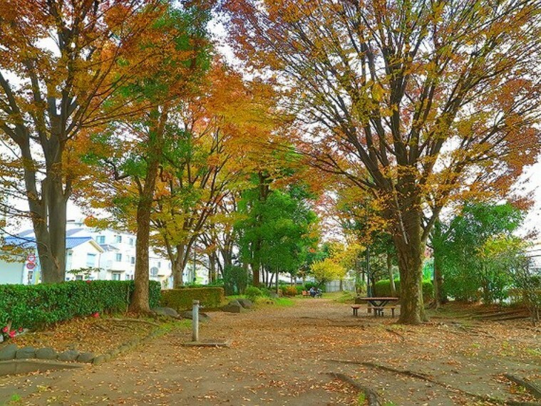 公園 世田谷区立玉川上水第二緑道　約350m