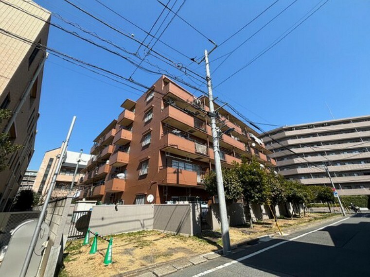 現況写真 豊かな居住性とクオリティが見事に調和した住空間は、住まうことの喜びを感じさせてくれます。