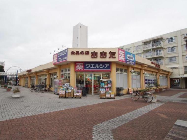 スーパー 食品の店おおた 町田木曽店まで約1107m