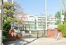 中学校 市川市立第七中学校 徒歩5分。