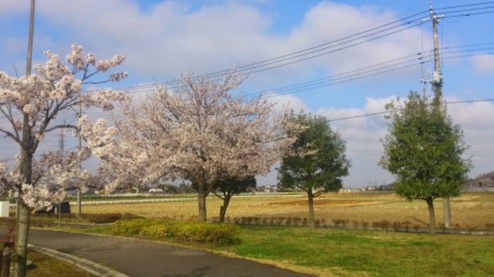 公園 【公園】ふれあい公園まで840m