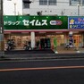 ドラッグストア ドラッグセイムス堺東湊店