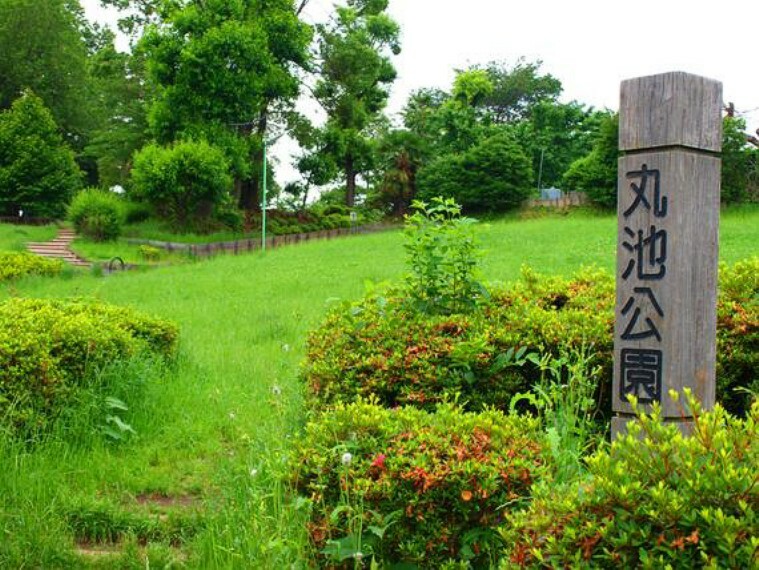 公園 新川丸池公園