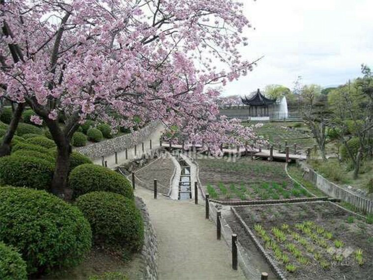 公園 水月公園の外観