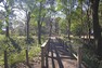 公園 現地から195m～231m。　守谷城址公園　自然が豊かで歴史を感じられる場所。ピクニックや散策をしながらのんびりと過ごせます。