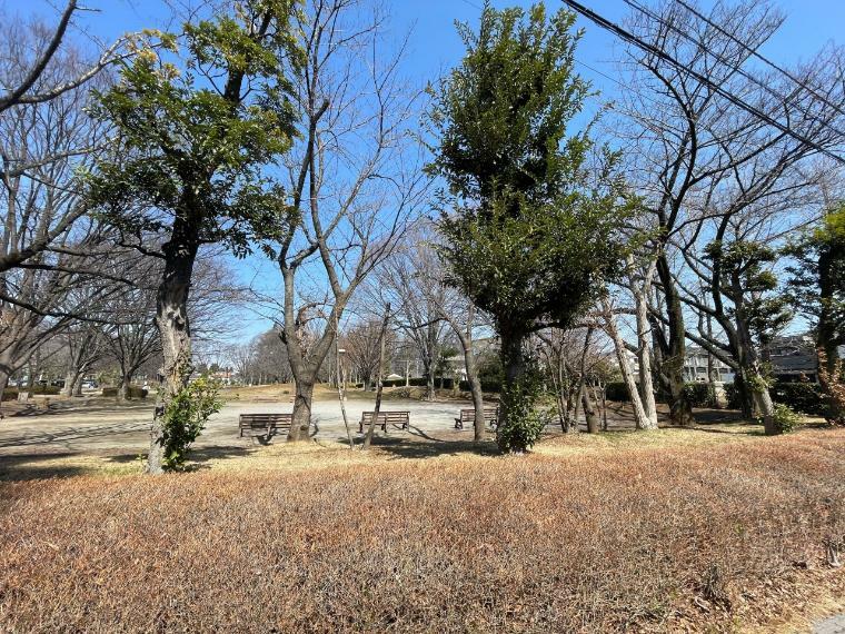 与野公園（与野公園 鮮やかな色が美しいバラ園がたいへん人気があります。観光客も各地から多く訪れます。遊具広場もあり、家族や親子、お友だち同士のリラックススペースになっています。）