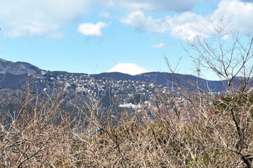 富士山が望めます