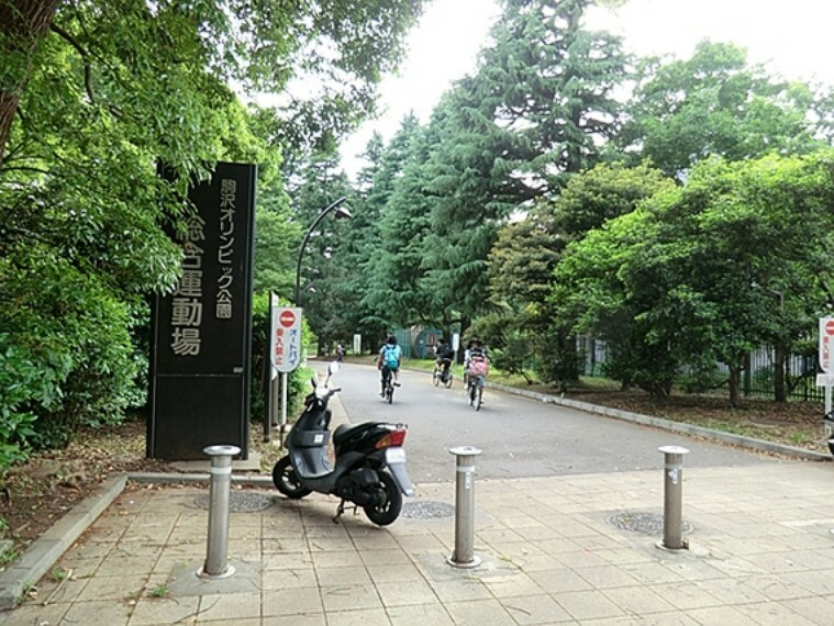 公園 駒沢オリンピック公園