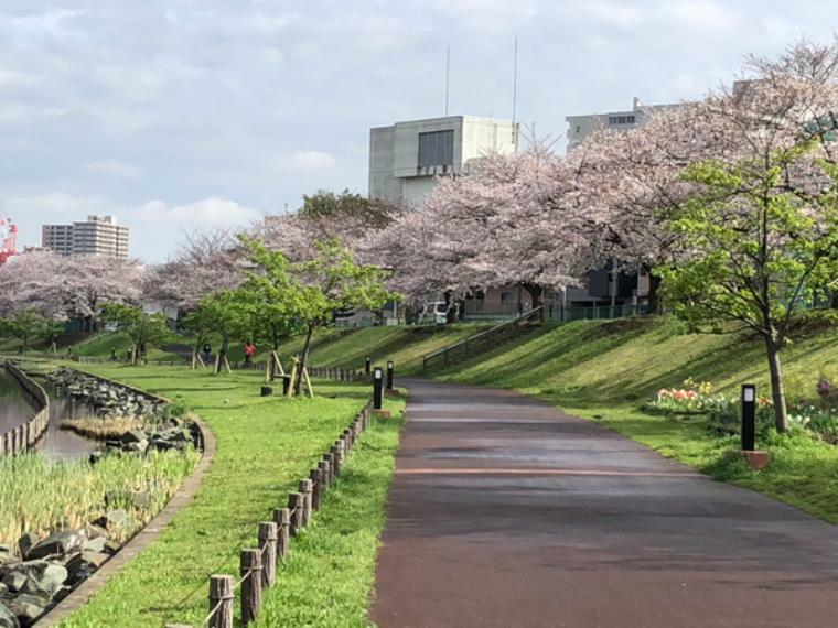 桜の名所として愛される憩いのスポット、公園には自治会で防犯カメラも設置！