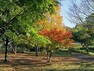 公園 ふれあいの森　距離約450