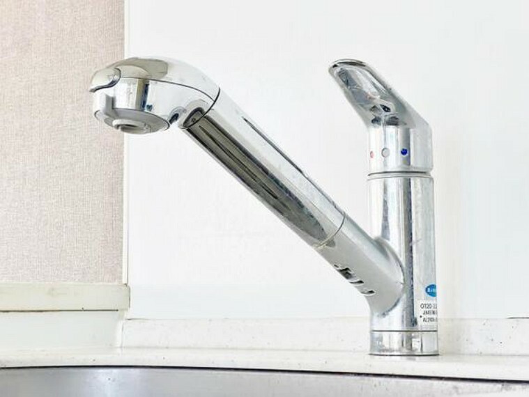 クリアな水が毎日使え、見た目にもスマートな浄水器一体型。水栓は、引出し式のシャワーヘッドなのでシンクの隅々までお掃除できます。
