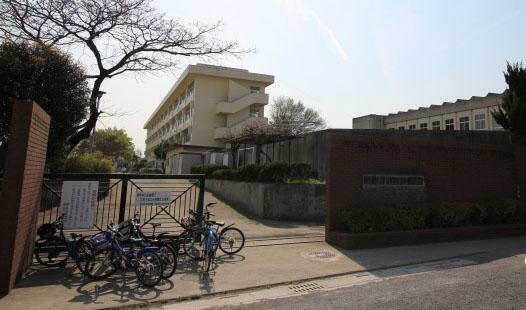 小学校 藤小学校（900m）