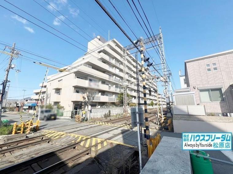 外観写真 外観 近鉄南大阪線「河内松原」駅徒歩10分