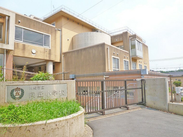 小学校 川崎市立向丘小学校