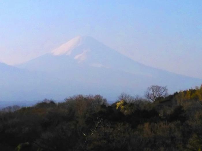 雄大な富士山を望む