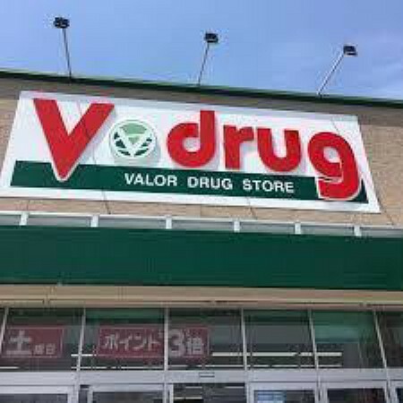 ドラッグストア V・drug富士松店