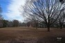 公園 都立祖師谷公園の外観