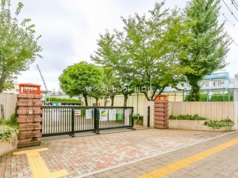 小学校 戸田市立戸田第一小学校650m