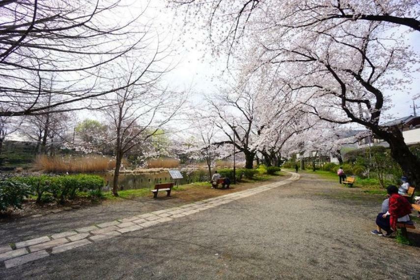 公園 徒歩9分。約80000平米の広大な敷地の「善福寺公園」は武蔵野市三大湧水池の一つとなっておりペットの入園も可能で午前中はお散歩や保育園児達でにぎわっています。