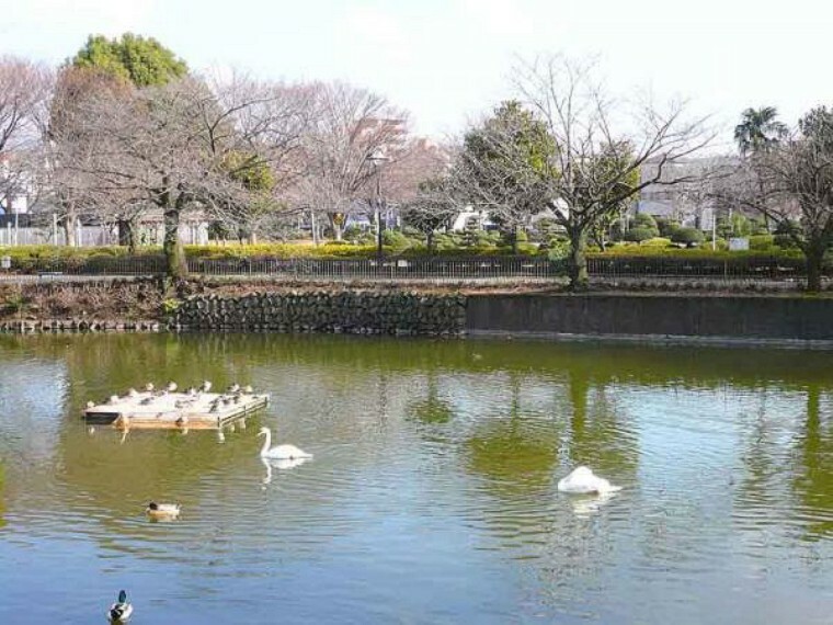 公園 鹿沼公園