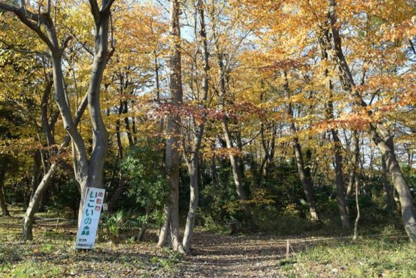 公園 南鶴間いこいの森1024m